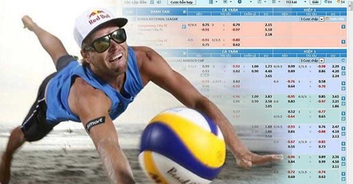 Cá Cược Bóng Chuyền Bet88 Rinh Về Thưởng Cực Khủng